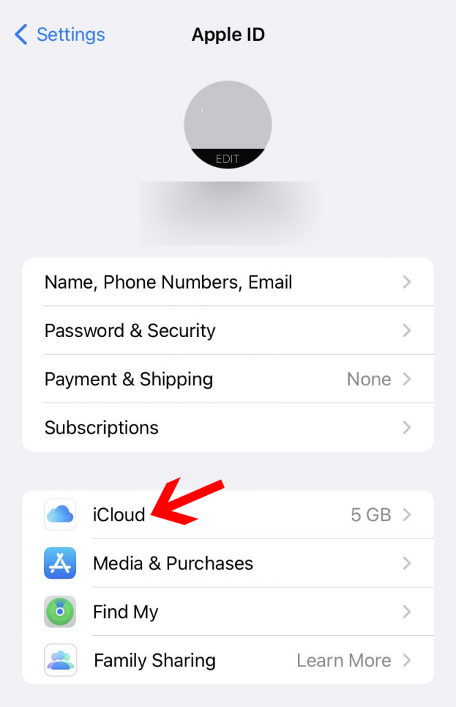 Backup your iPhone to iCloud