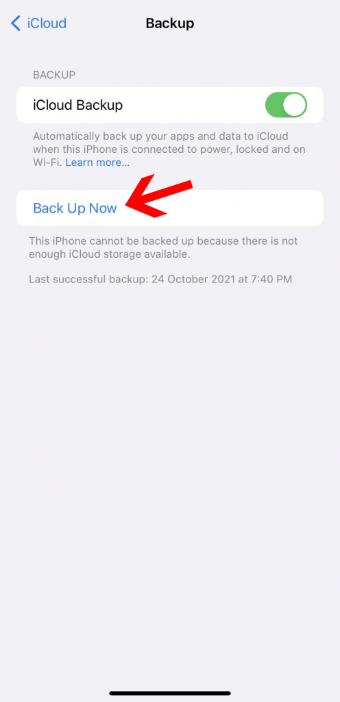 Manually backup iPhone to iCloud