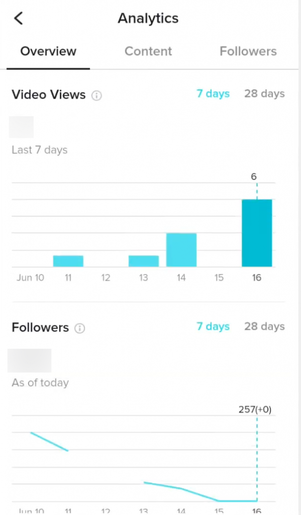 TikTok Analytics overview