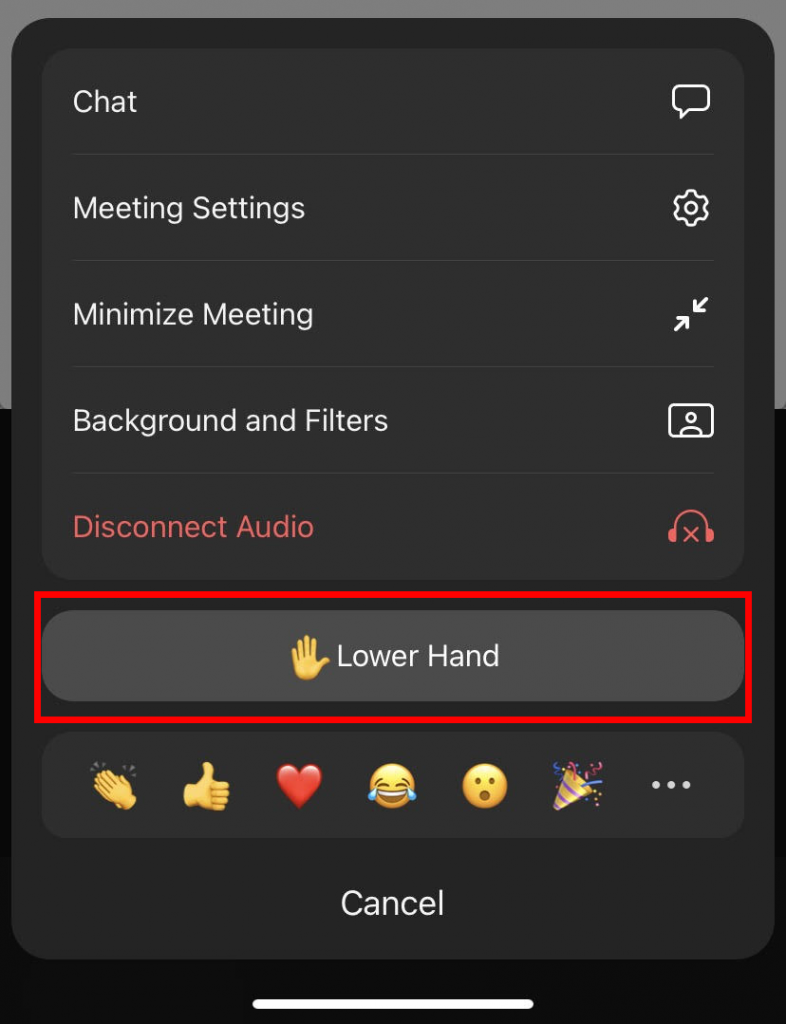 Zoom app lower hand