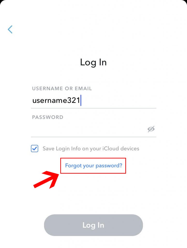 Forget snapchat password