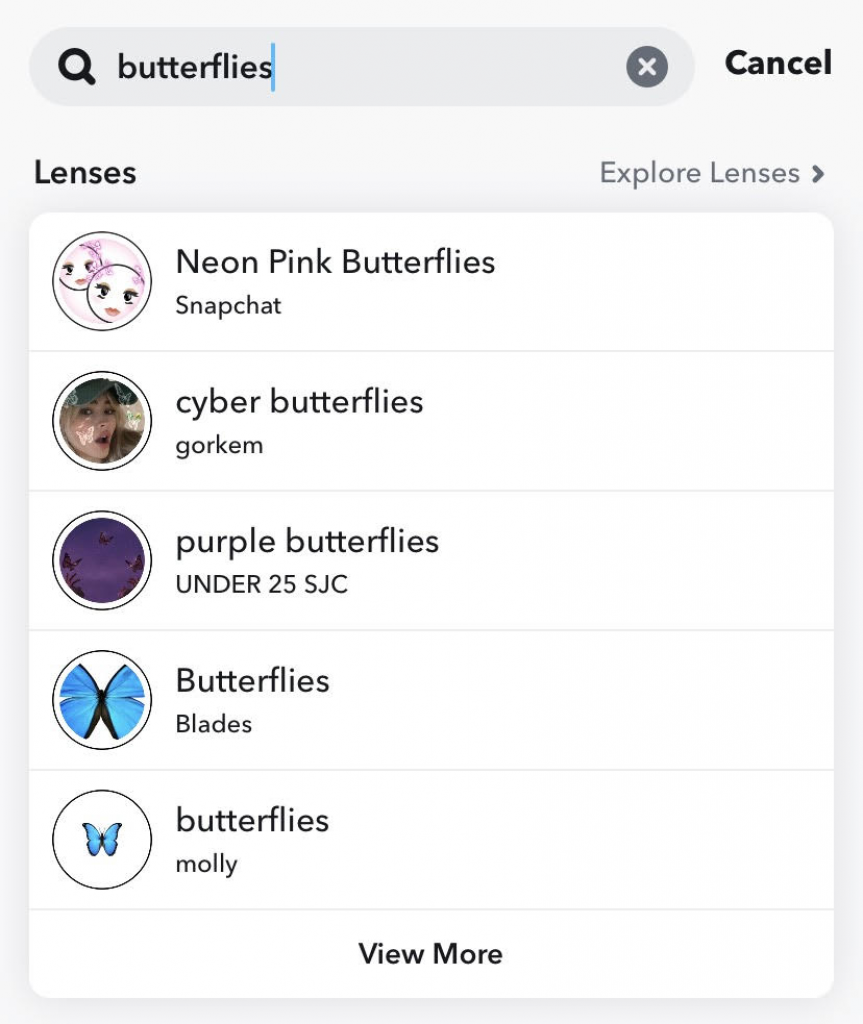 Snapchat butterflies lens