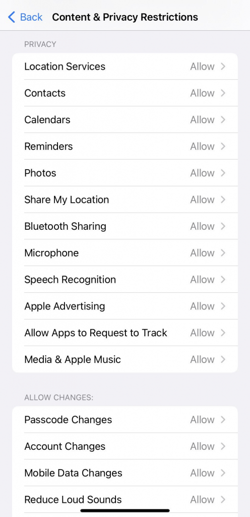 App privacy iPhone