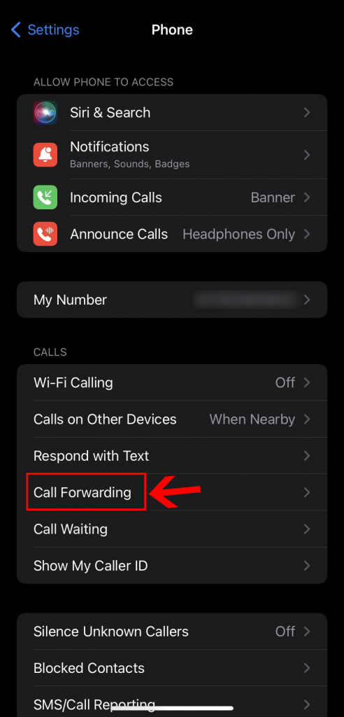 Call forwarding iPhone