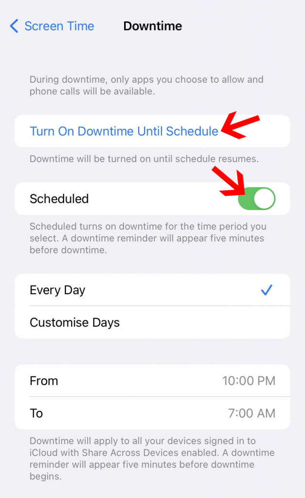 Turn on downtime schedule