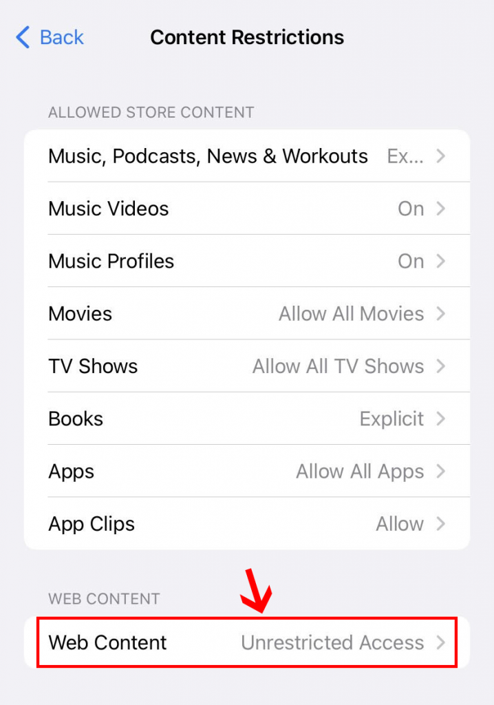 Web content restriction on iPhone