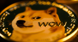 How to Buy DogeCoin (DOGE) in 2024